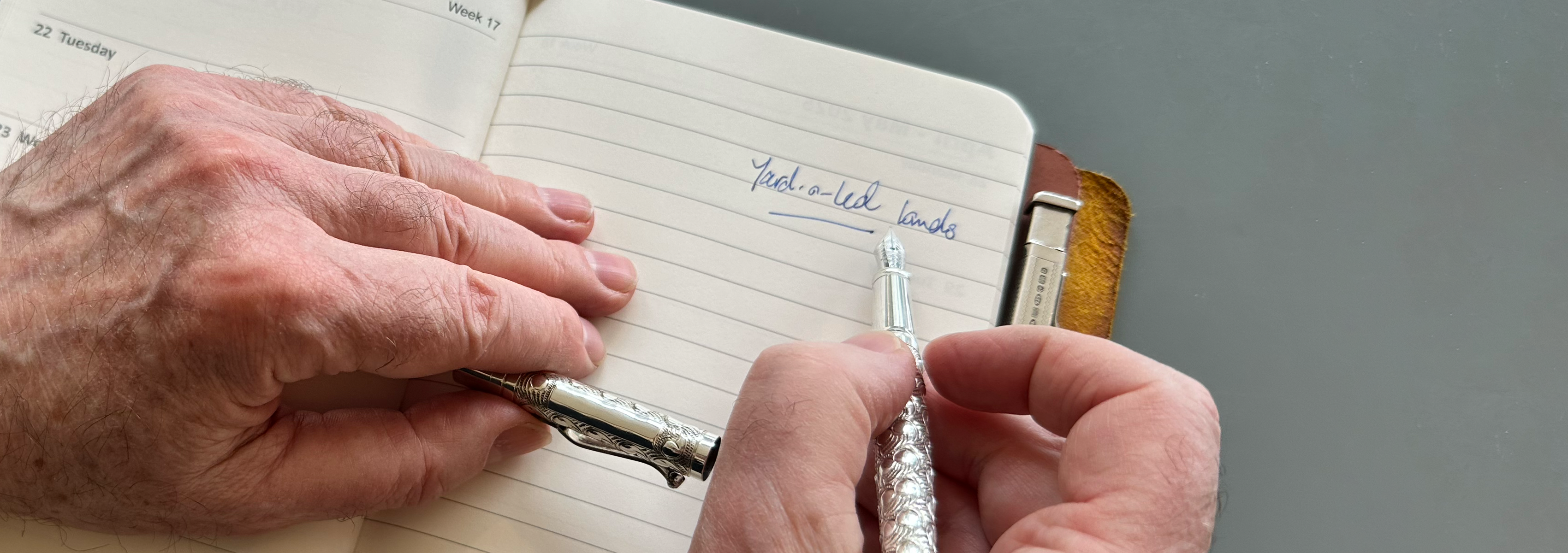 The Enduring Appeal of Yard-O-Led