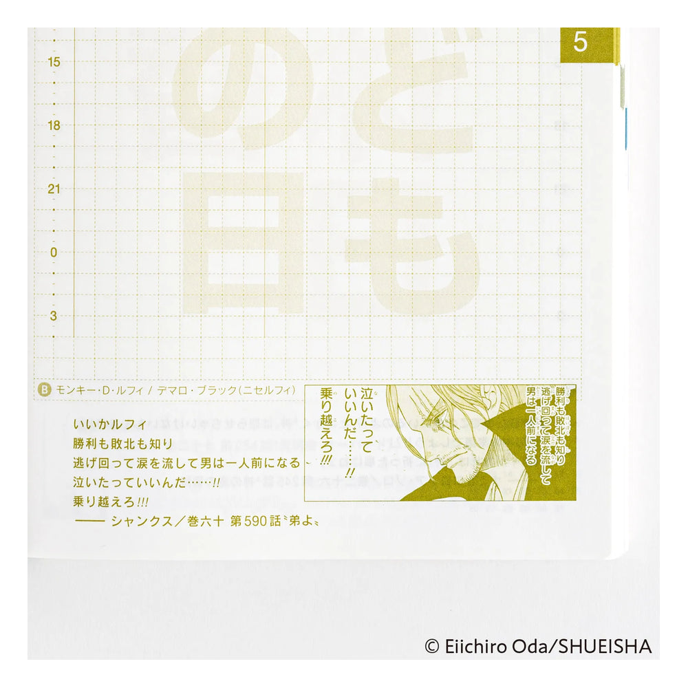 Hobonichi A6 Original Japanese Book ONE PIECE Edition 2026