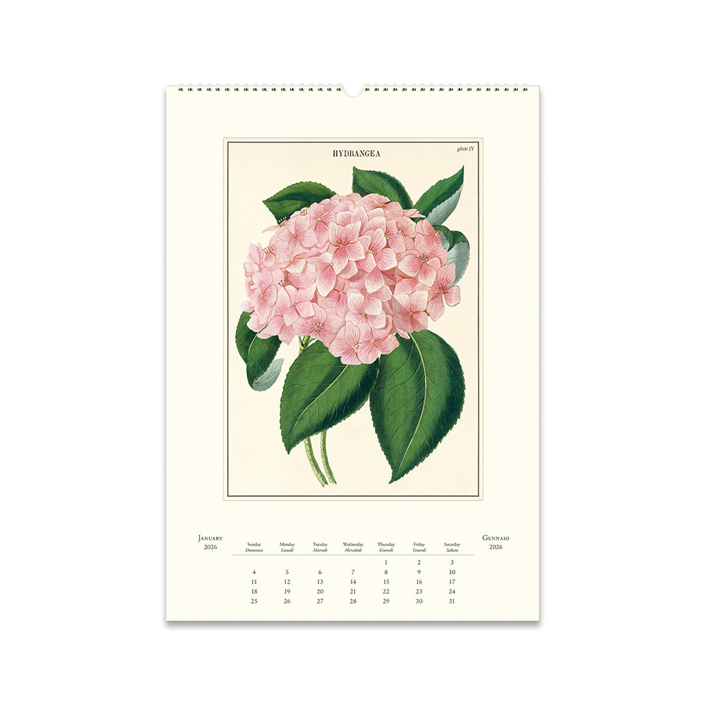 Cavallini Botanica Wall Calendar 2026