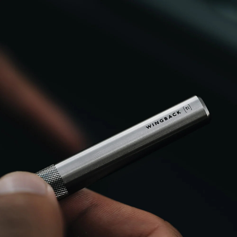 Wingback Titanium Fountain Pen