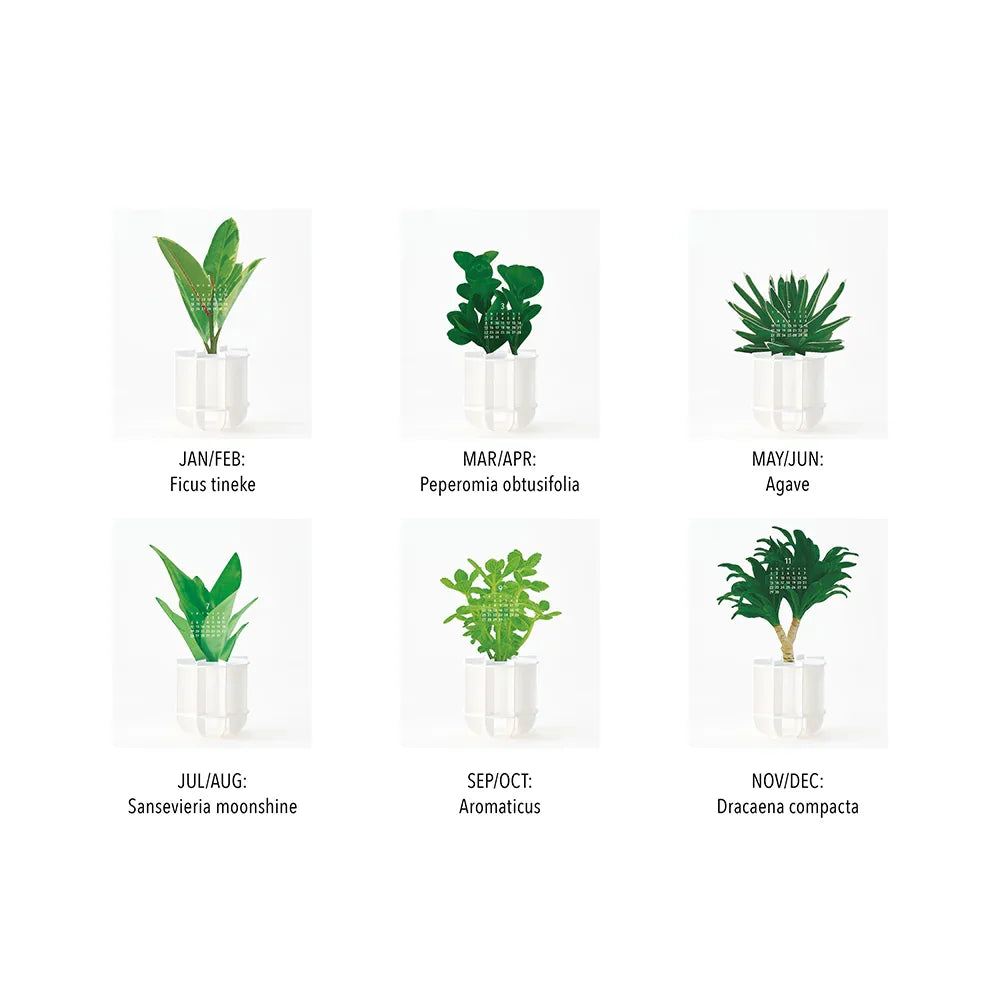 Good Morning Green Calendar 2026