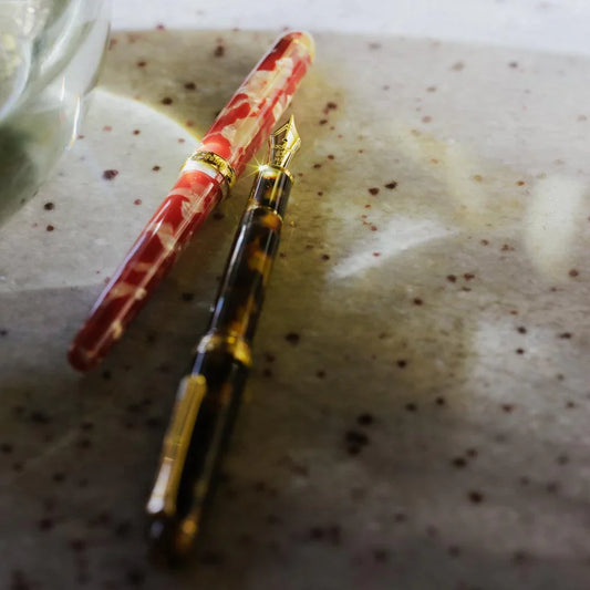 Platinum 3776 Century Koi Celluloid Fountain Pen - Laywine's