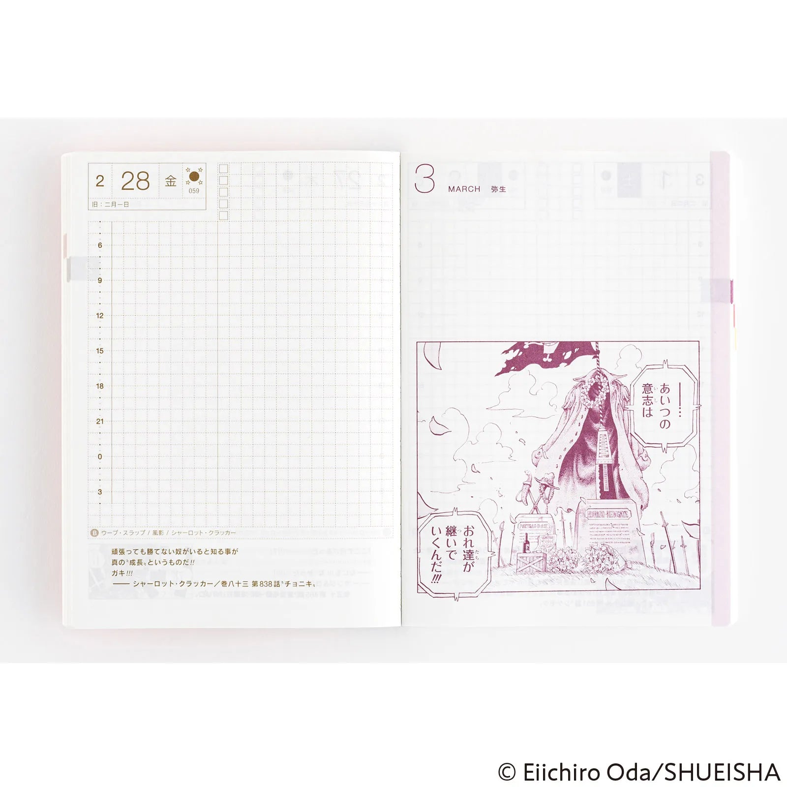 Hobonichi Techo A6 ONE PIECE Original Book 2025 (Japanese)