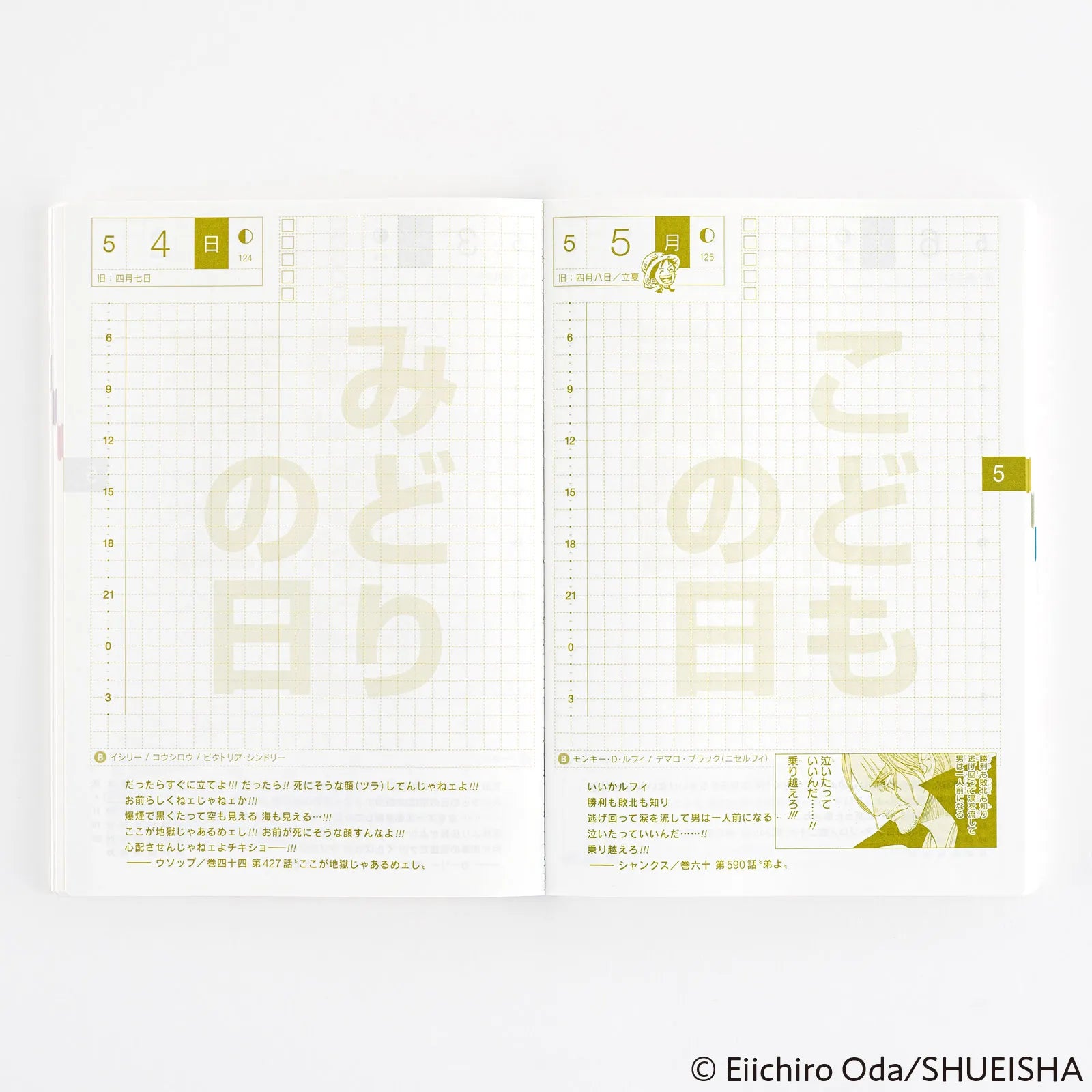 Hobonichi Techo A6 ONE PIECE Original Book 2025 (Japanese)