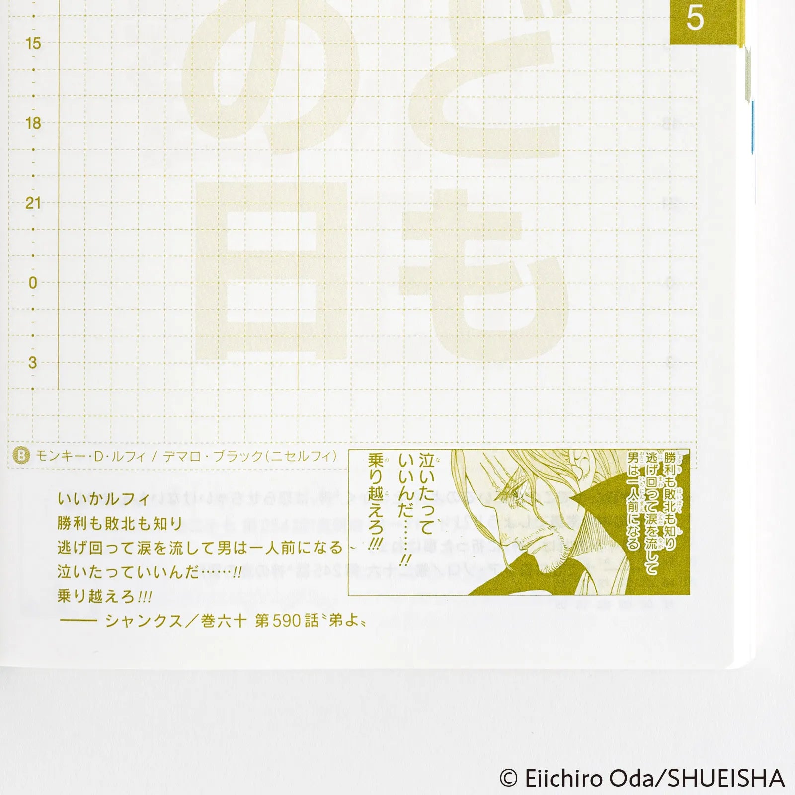 Hobonichi Techo A6 ONE PIECE Original Book 2025 (Japanese)