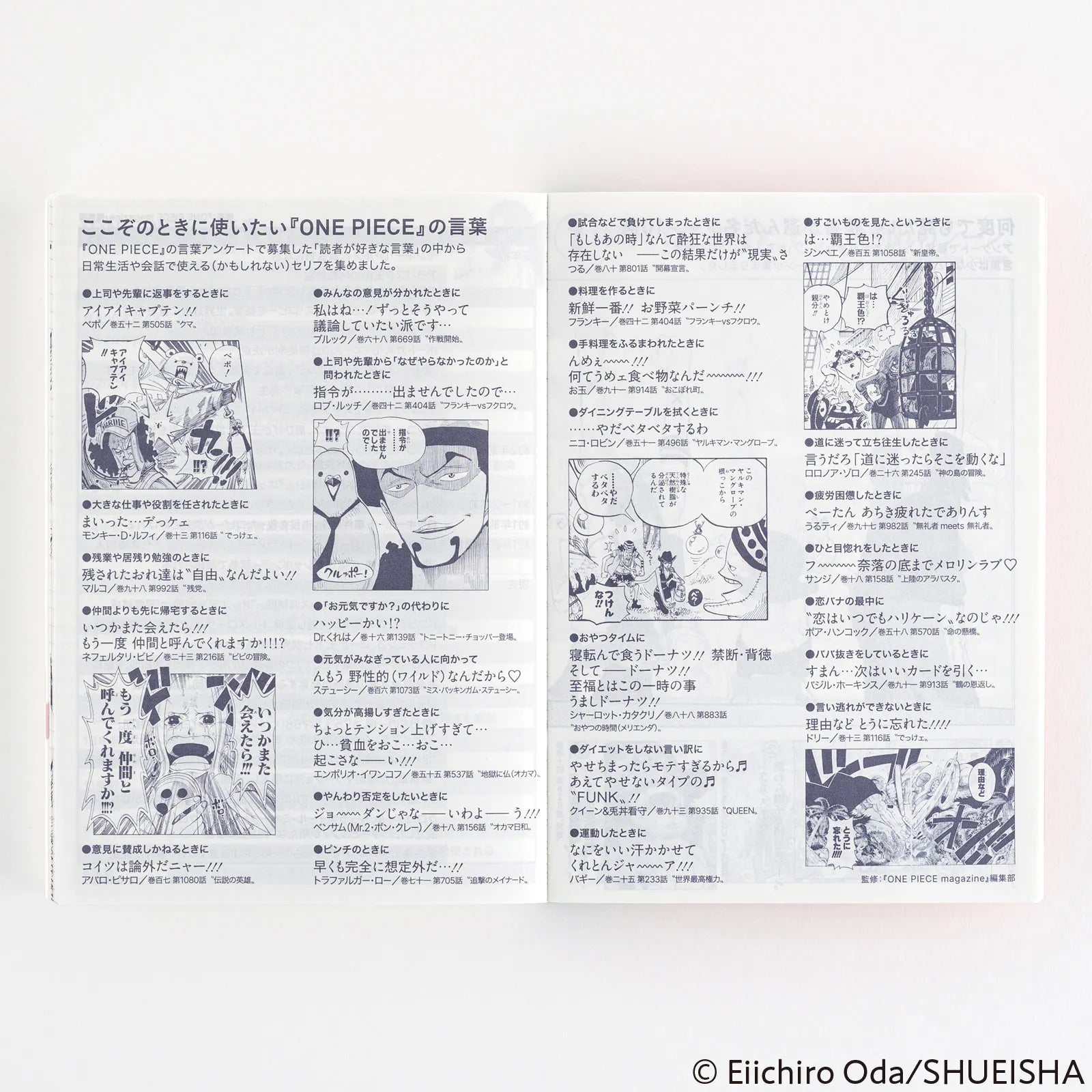 Hobonichi Techo A6 ONE PIECE Original Book 2025 (Japanese)