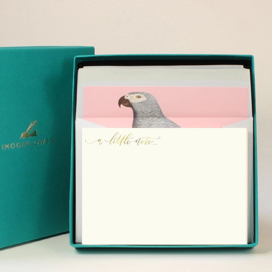 Imogen Owen Parrot A Little Note Correspondence Set