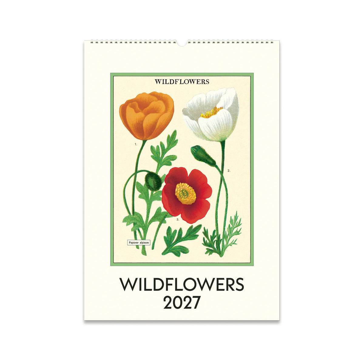 Cavallini Wildflowers Wall Calendar 2027