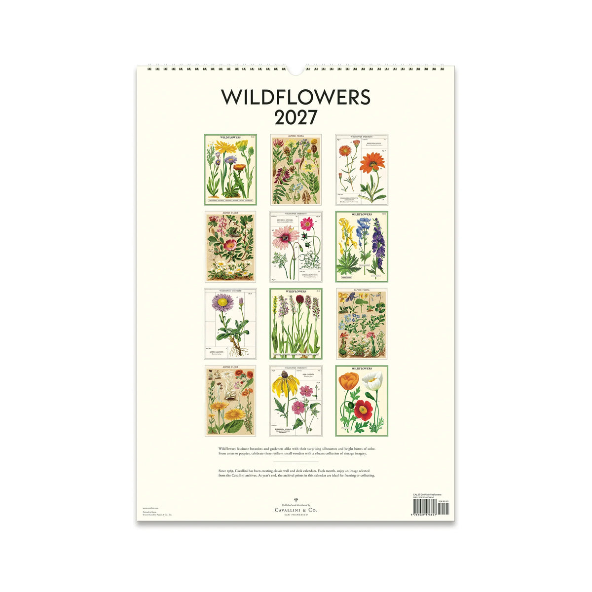 Cavallini Wildflowers Wall Calendar 2027
