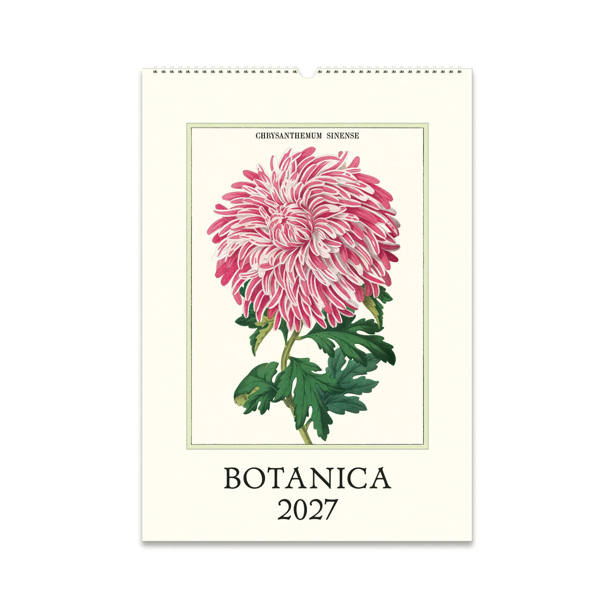 Cavallini Botanica Wall Calendar 2027