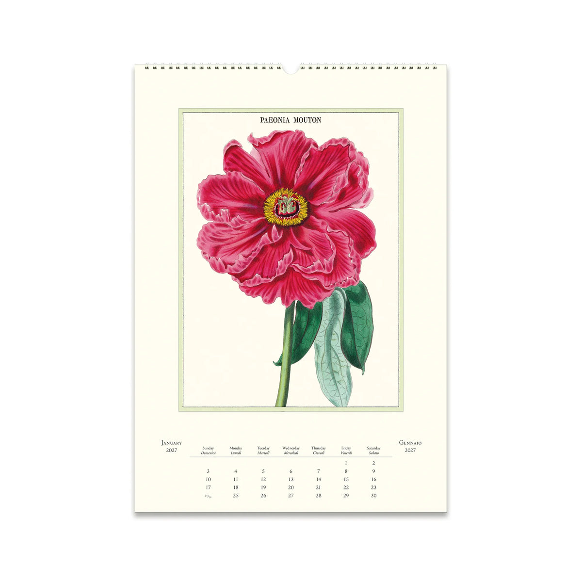Cavallini Botanica Wall Calendar 2027