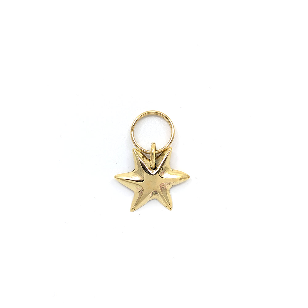 Carl Auböck Star Keyring