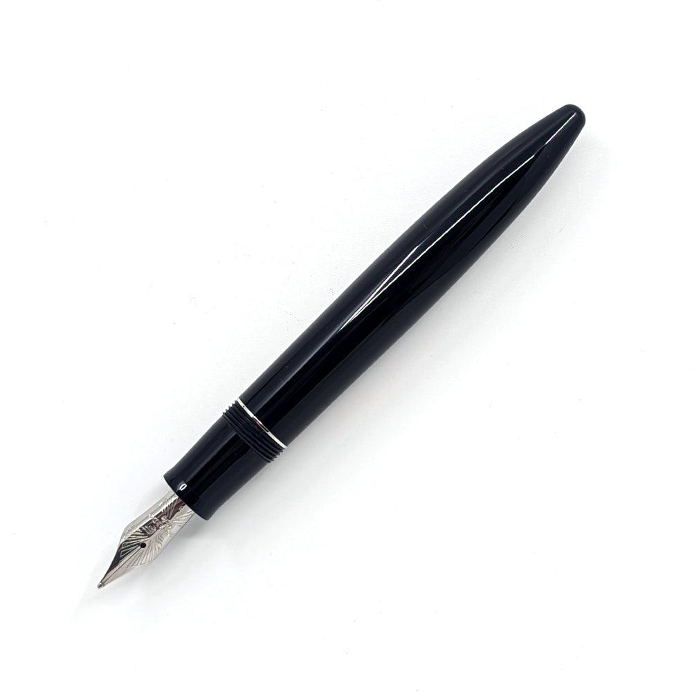 Leonardo Furore Notte di Furore Fountain Pen