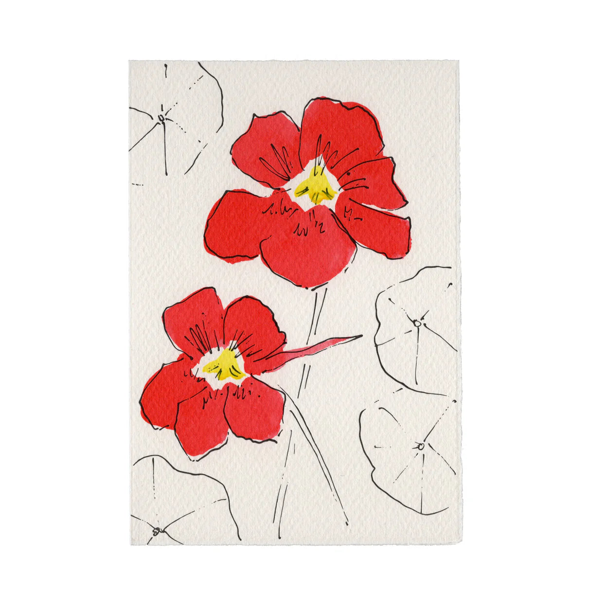 Scribble & Daub Charleston Nasturtium Card