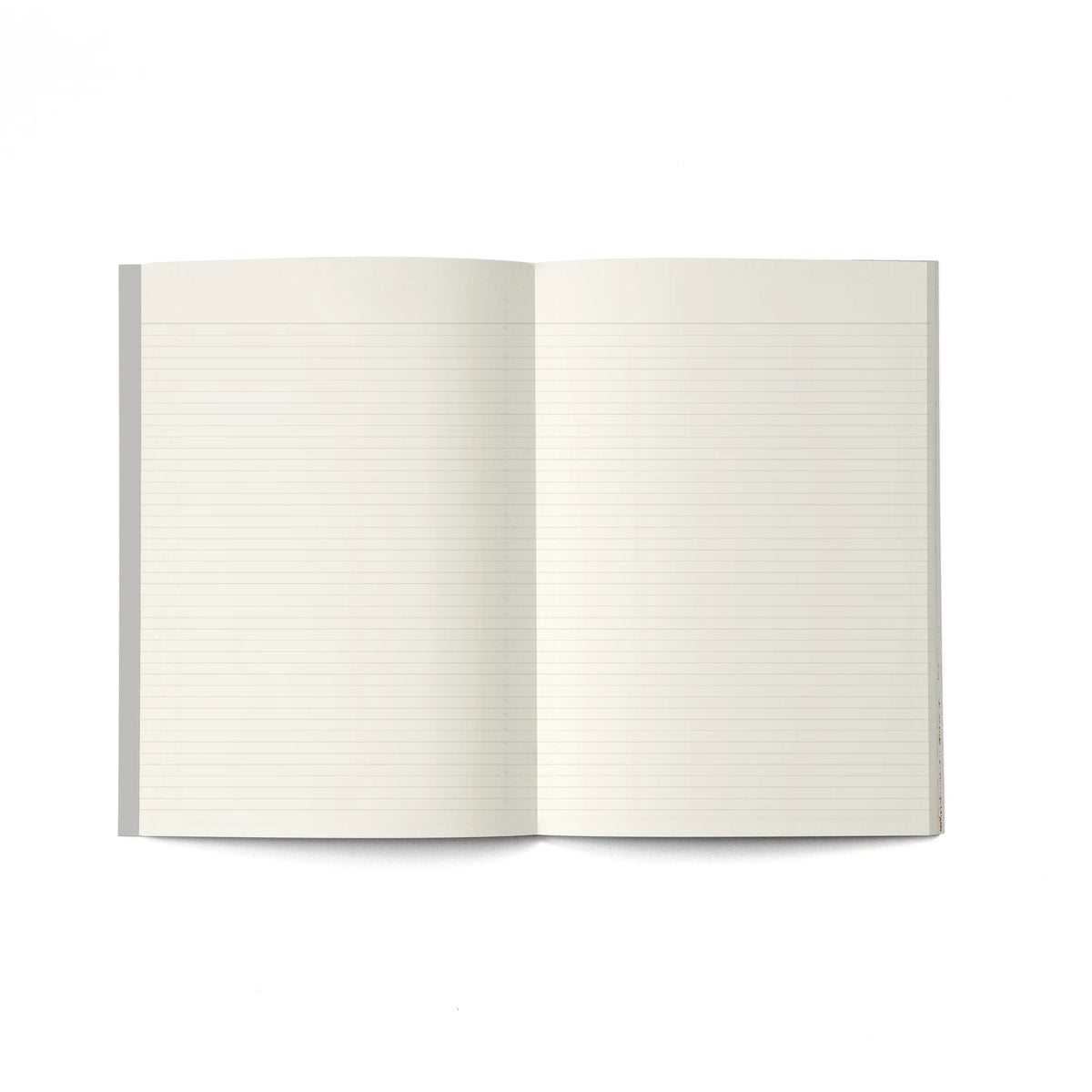 Octagon Small Monthly Planner PLUS 2027