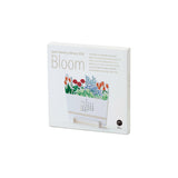 Good Morning Bloom Desk Calendar 2024 - Laywine's
