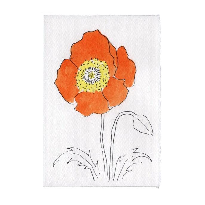 Scribble & Daub Charleston Collection Oriental Poppy Card Orange - Laywine's