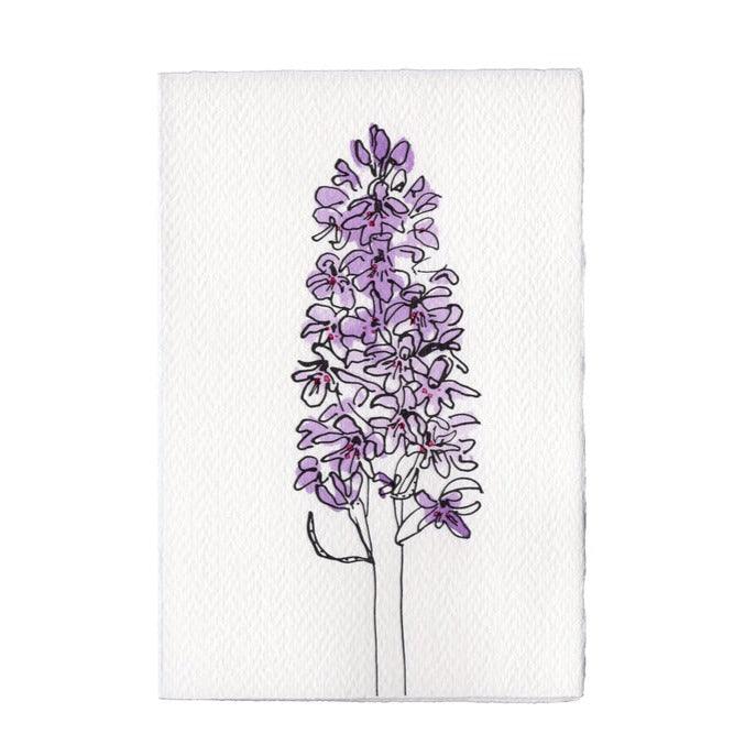 Scribble & Daub In The Meadow Common Spotted Orchid Card - Laywine's